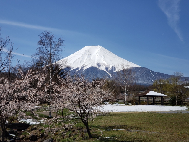 今、富士北麓はとてもいい季節になりました。

県外の方は、今年は出かけられないと思いますので、写真でお楽しみください。
