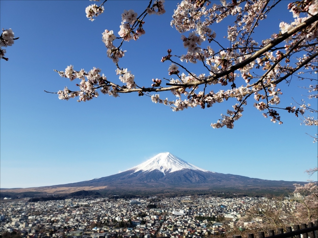 ゴールデンウィークは予約制でご相談いただけます。