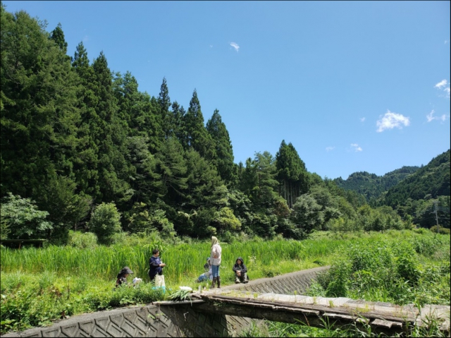 富士五湖には、まだまだ自然がたくさんあります。