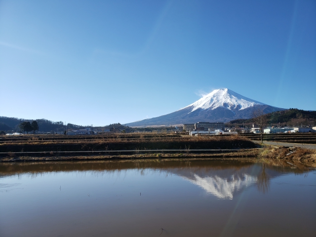 実家の家と土地の活用方法を相談したい