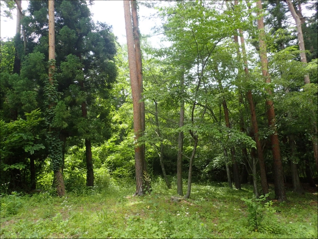 また二つ、「お客様の夢の実現のお手伝い」